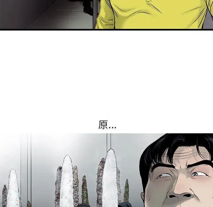 49 第56页