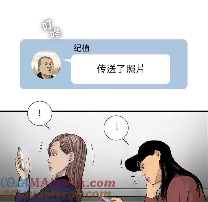 52 第61页
