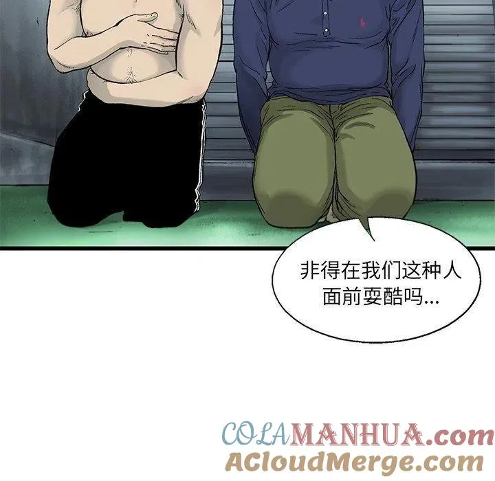 55 第13页