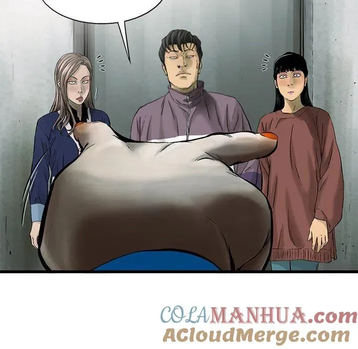 55 第29页