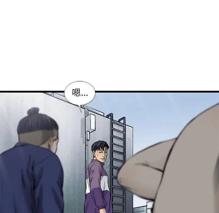 55 第40页