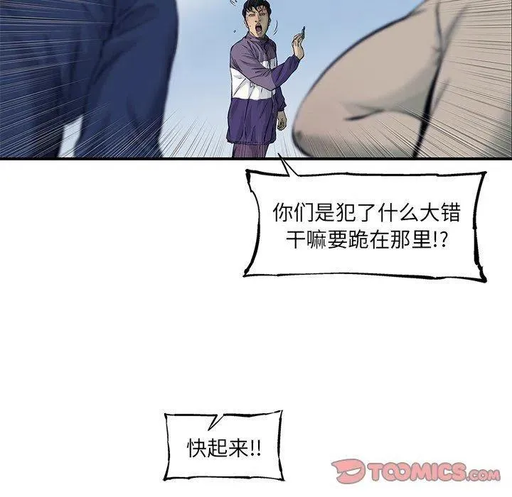 55 第54页