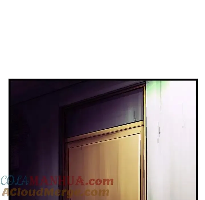 61 第25页