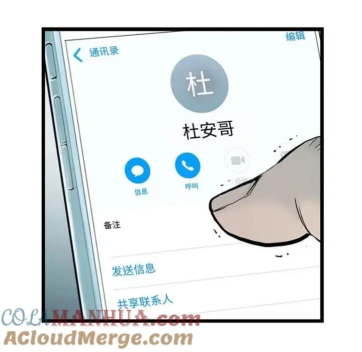 61 第79页