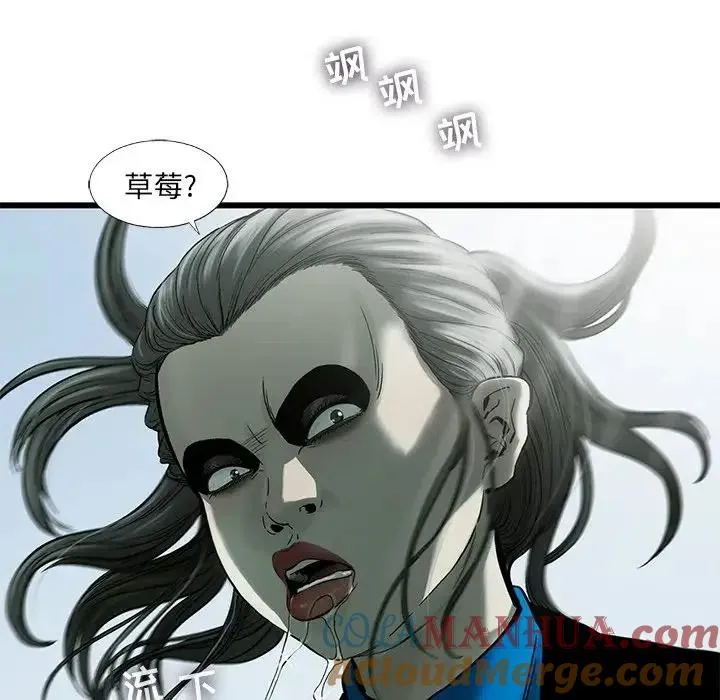 61 第97页