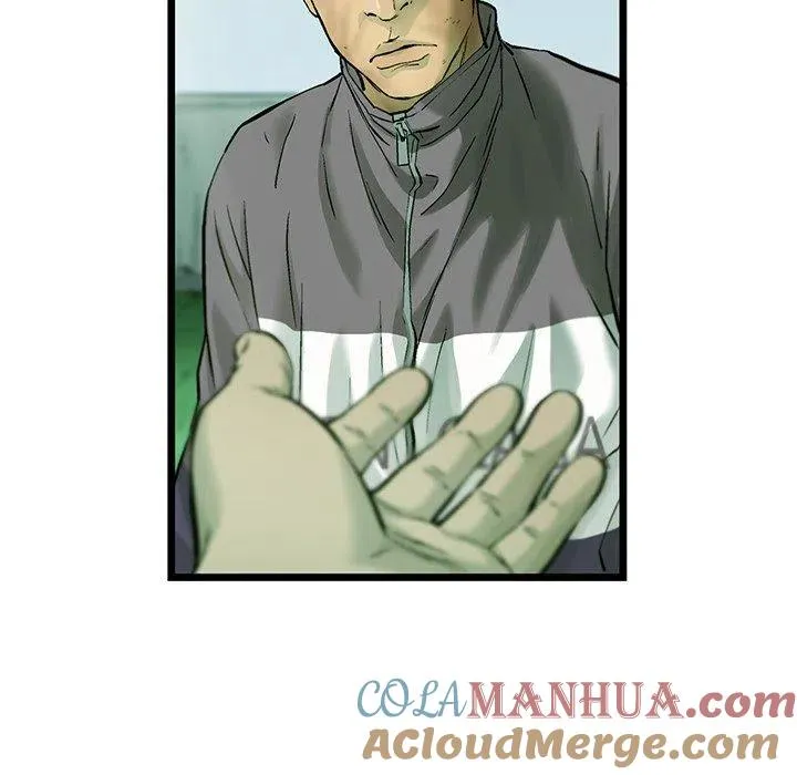 62 第19页