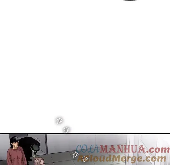63 第43页