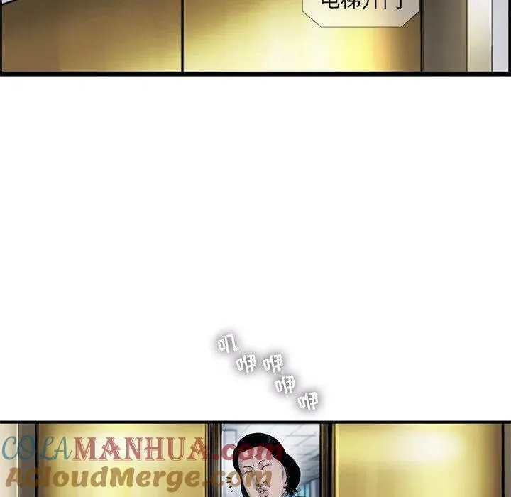 65 第55页