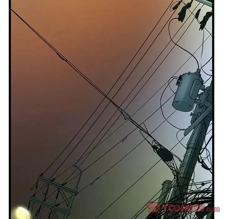 78 第62页