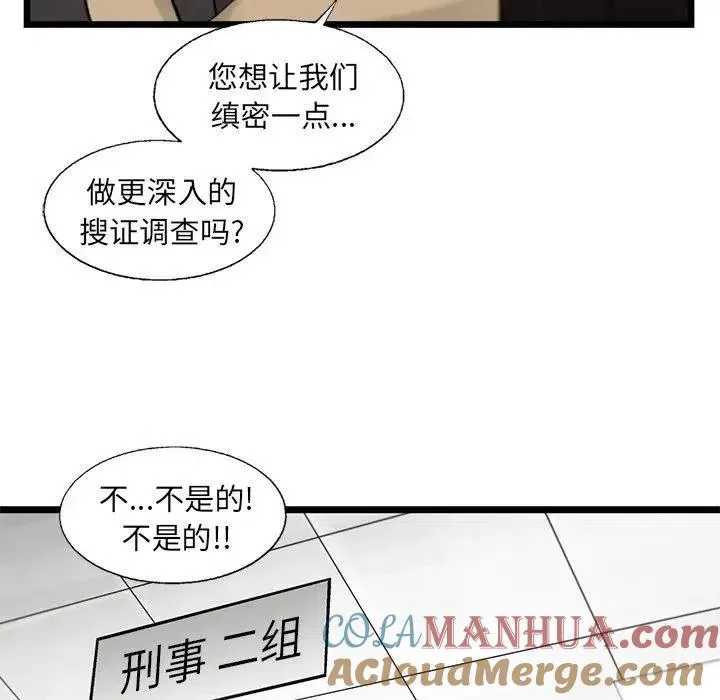 81 第25页