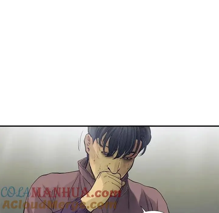 81 第43页