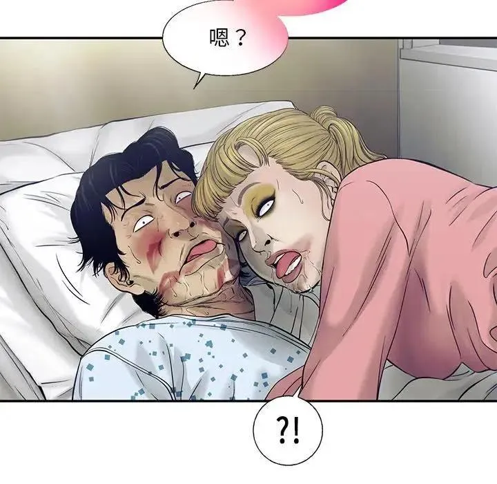 81 第51页