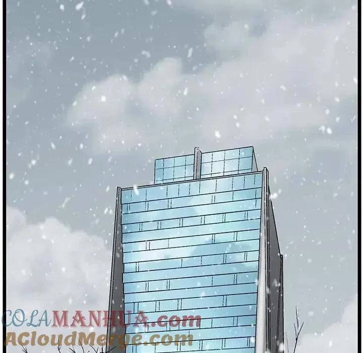 81 第67页