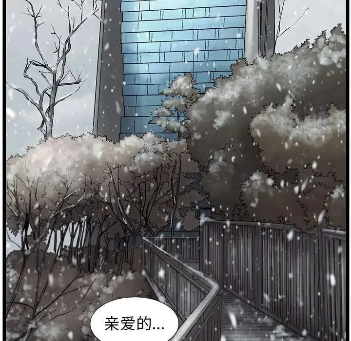 81 第68页
