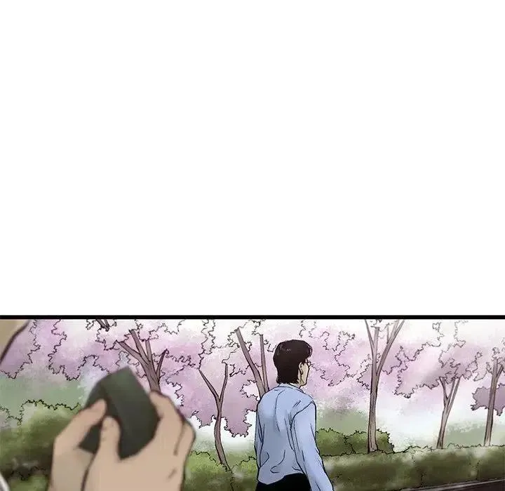 83 第41页