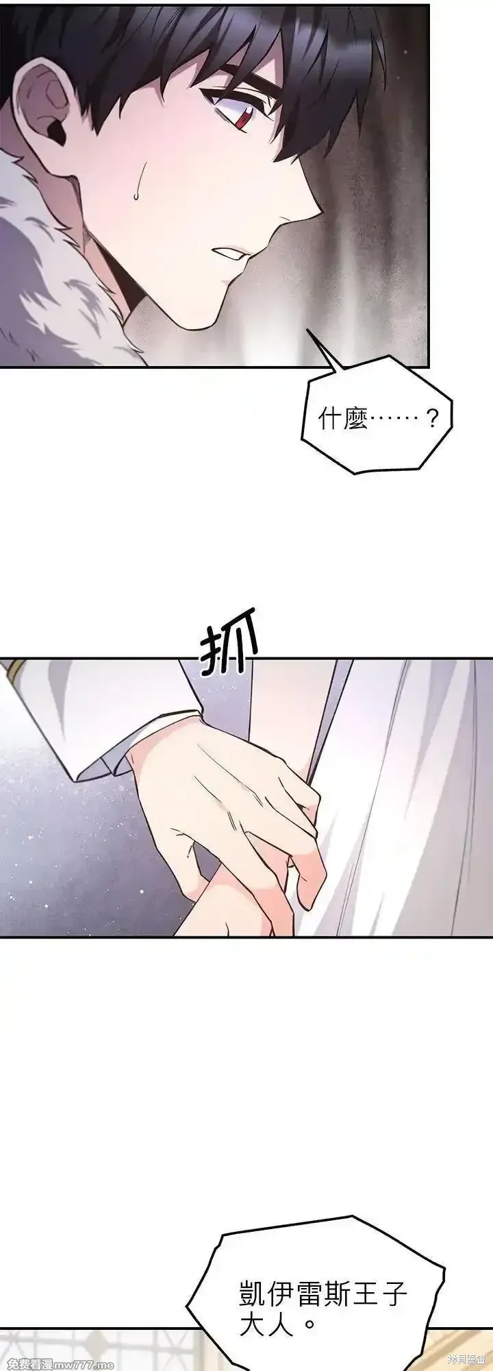 第113话 第28页