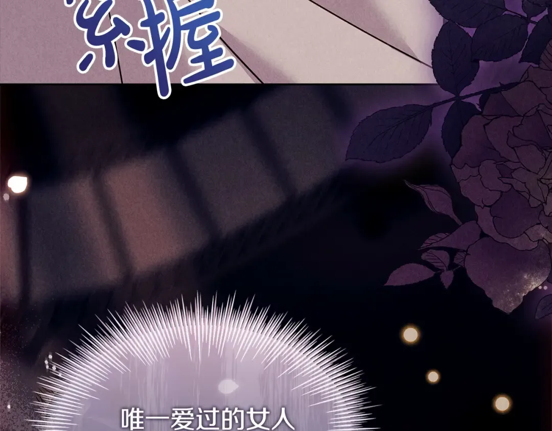第97话 代理公王妃 第129页