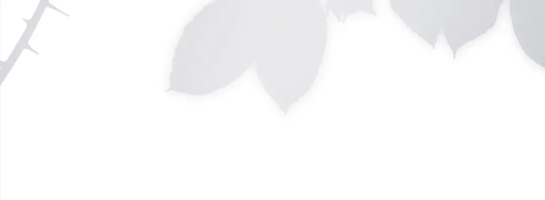 第111话 解开心结 第197页