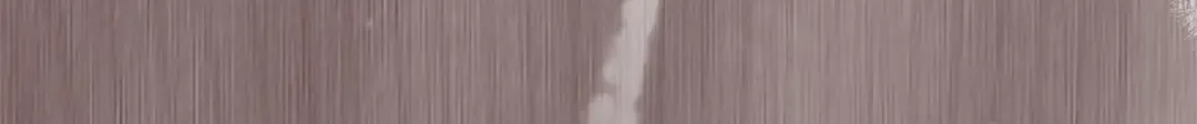 第163话 返回公国 第41页