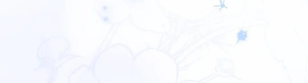 第181话 下雪了 第265页