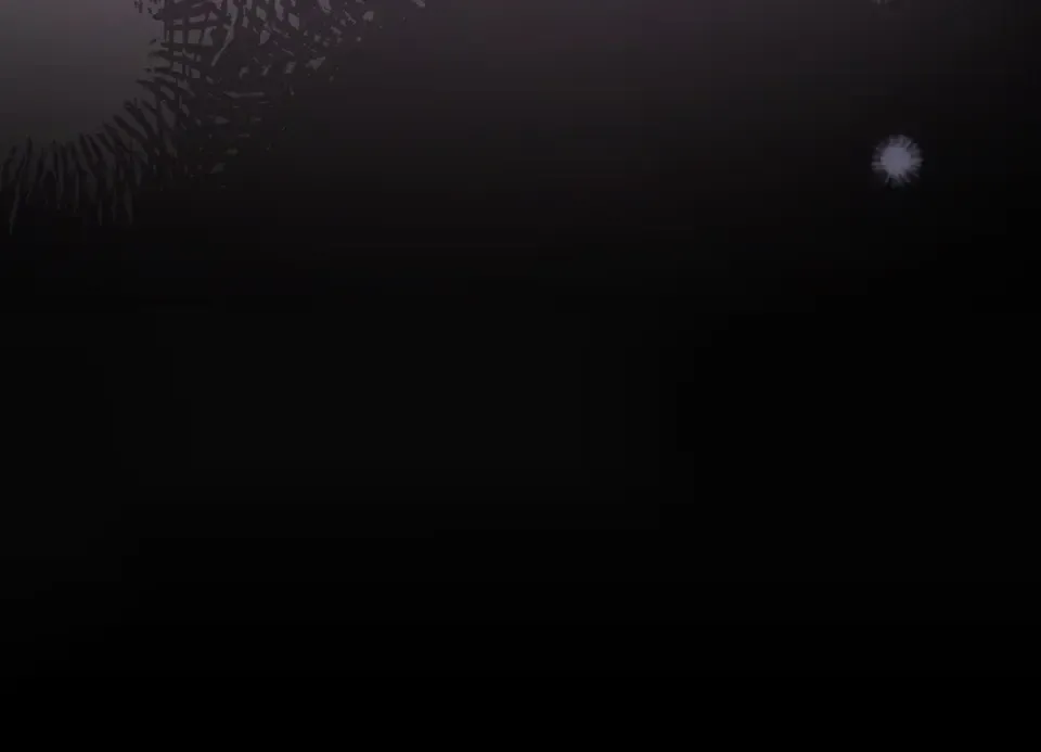 第186话 生日邀请 第230页