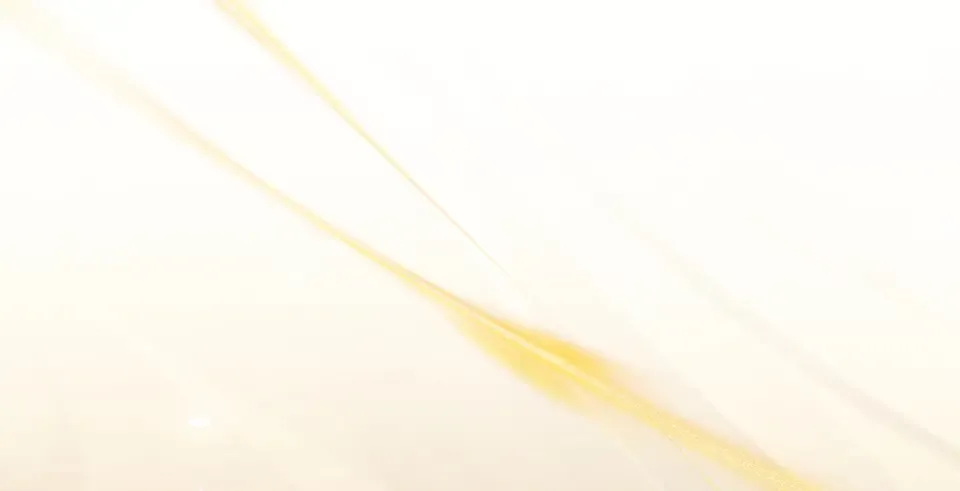 第195话 前往钦察普 第181页