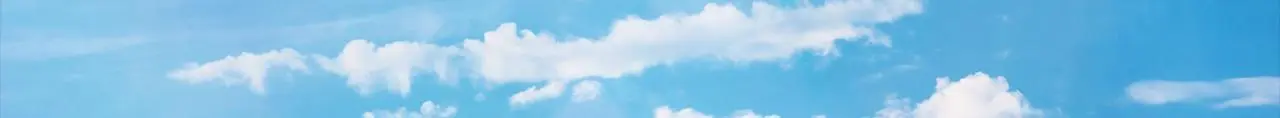 第三十八话 你好新伙伴 第59页