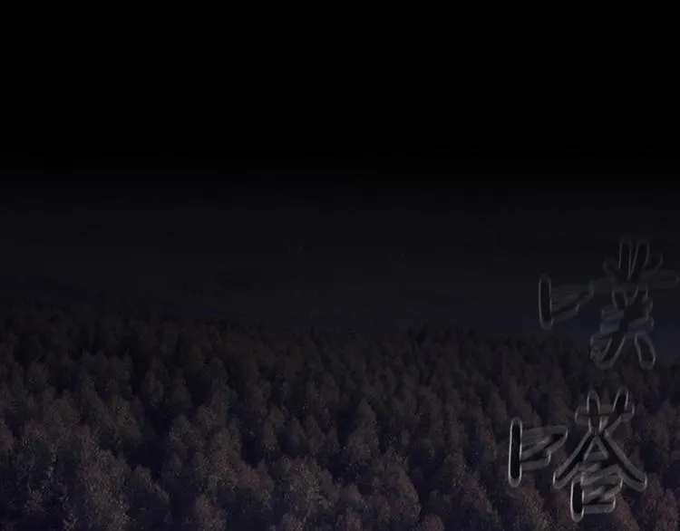 第二十话 背水一战 第14页