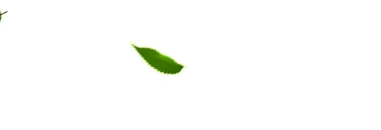 第十二话 满血复活 第6页