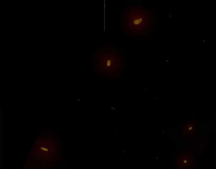第十四话 瓮中鳖 第121页