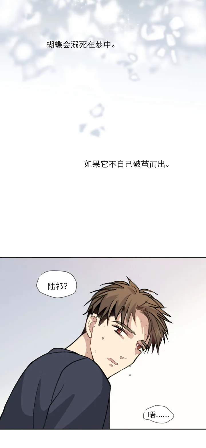 103 蝴蝶之梦 第17页