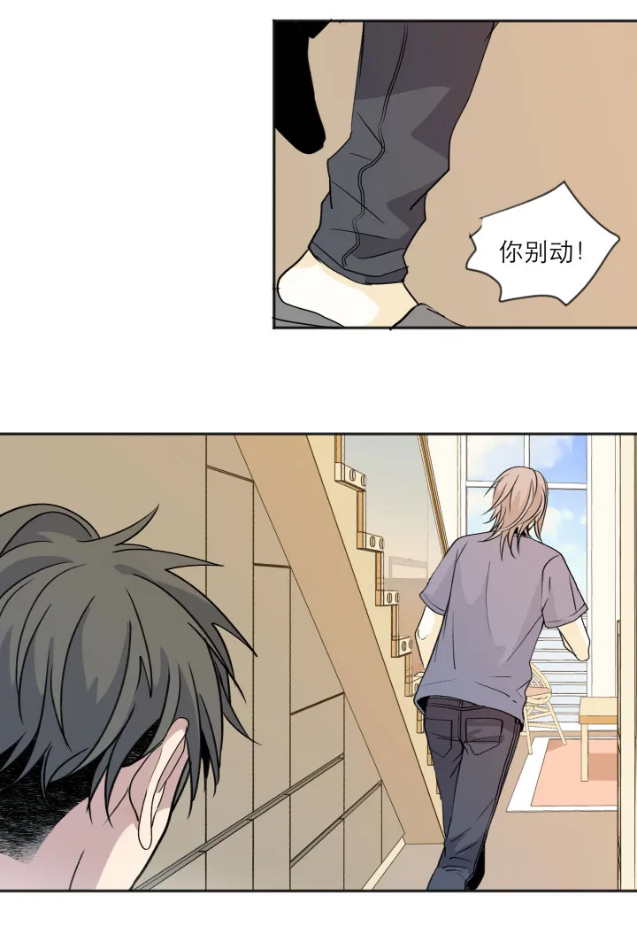 103 蝴蝶之梦 第18页