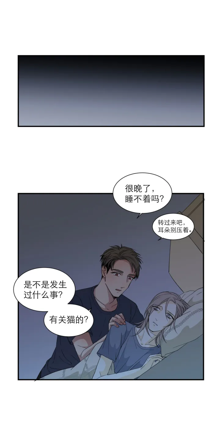 101 猫与秘密 第9页
