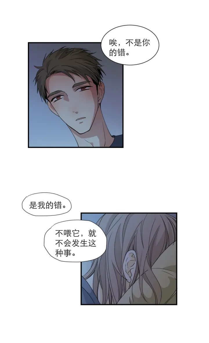 101 猫与秘密 第11页