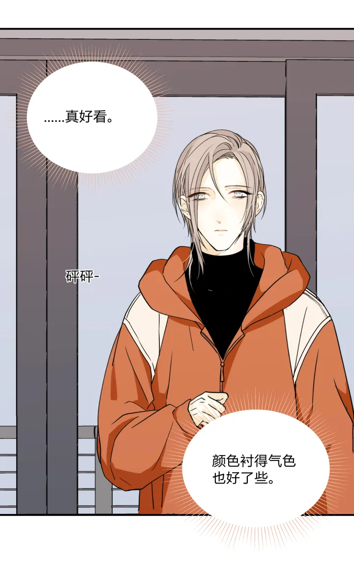 52 决定 第15页