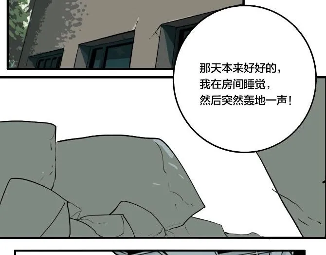 第43话 宠物市场 第2页