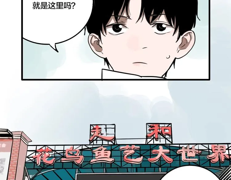 第43话 宠物市场 第49页