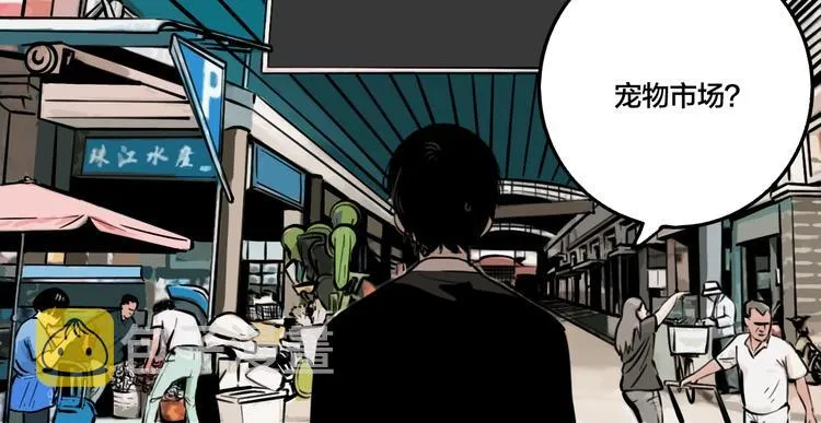 第43话 宠物市场 第50页