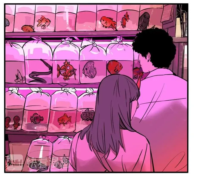 第43话 宠物市场 第51页