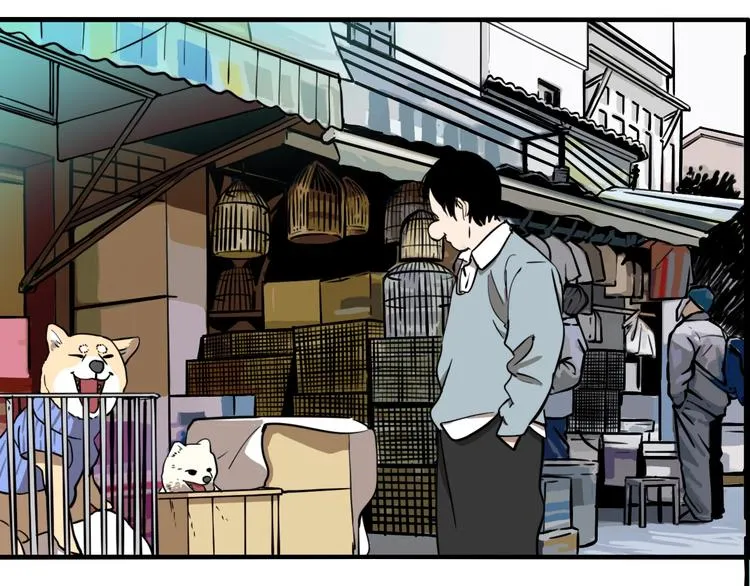 第43话 宠物市场 第52页