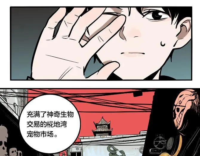 第43话 宠物市场 第75页