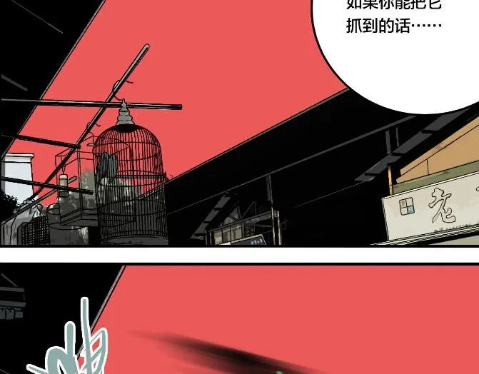 第43话 宠物市场 第112页