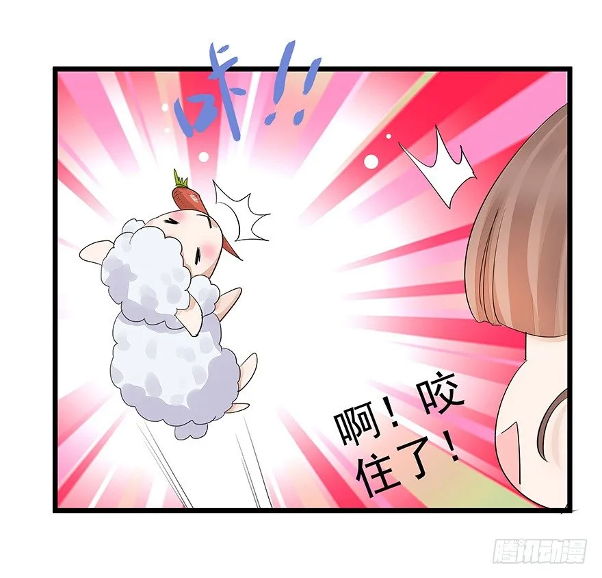 5 第36页