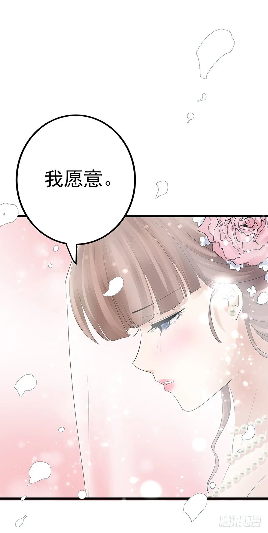 11 第24页