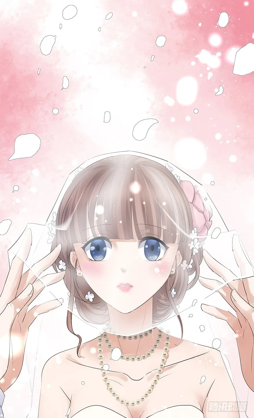 11 第27页