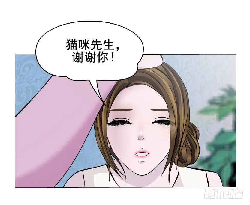 第44集 猫先生的守护 第17页