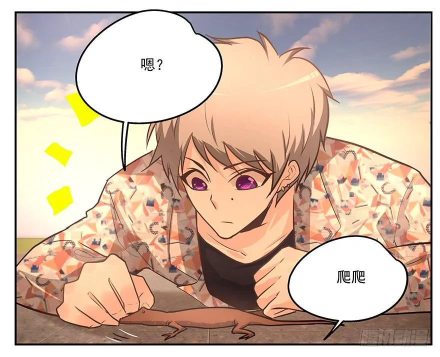 13.幻觉 第9页