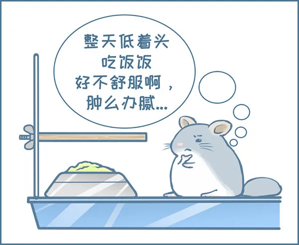 第128个小故事（上） 第2页