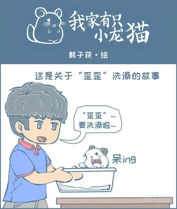 龙猫“歪歪”不洗澡了（1） 第1页