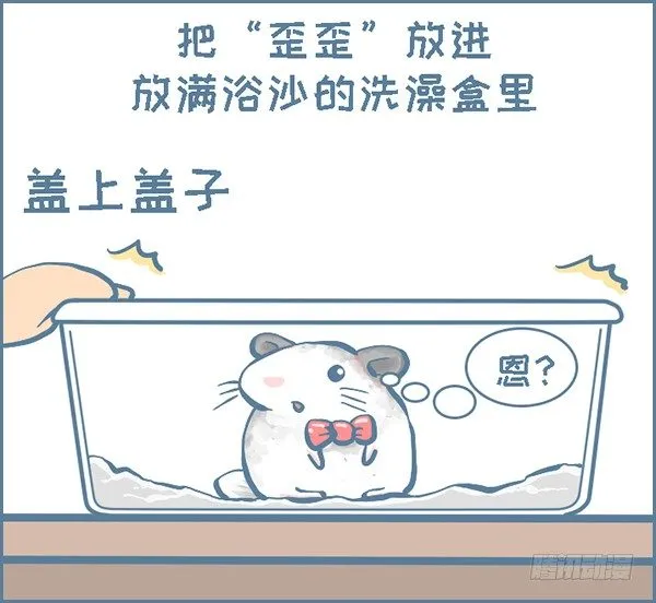 龙猫“歪歪”不洗澡了（1） 第2页